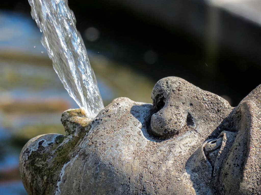 Wasserspeier - Überlingen am Bodensee