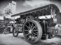 2025_D_u_GK_T_15_SW_Selen-Kopie 2025_D_u_GK_T_15_SW_Selen-Kopie