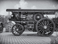 2025_D_u_GK_T_16_SW_Selen-Kopie 2025_D_u_GK_T_16_SW_Selen-Kopie