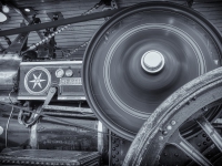 2025_D_u_GK_T_17_SW_Selen-Kopie 2025_D_u_GK_T_17_SW_Selen-Kopie