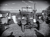 2025_D_u_GK_T_24_SW_Selen-Kopie 2025_D_u_GK_T_24_SW_Selen-Kopie