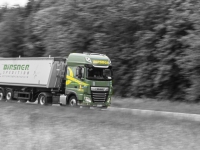Birsner_Sattelkipper_SW_coloriert_Kopie1