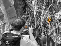 handy_01_sw_coloriert