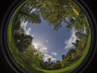 mainau_fisheye_01