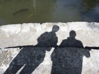 schatten_01